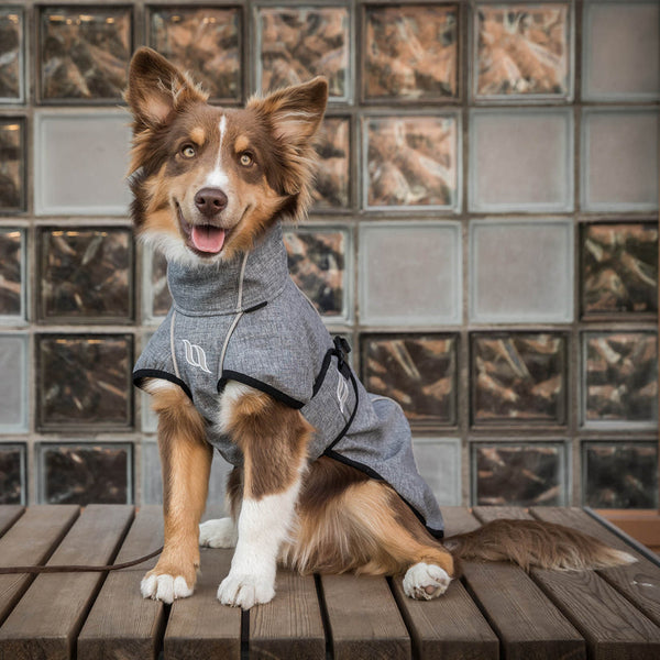 Manteau Nella pour chien Back on Track