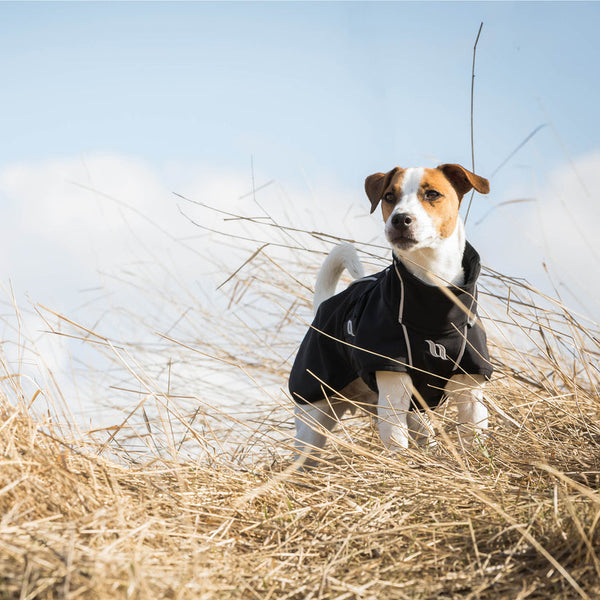 Cappotto per cani “Eddie” Alta visibilità Back on Track