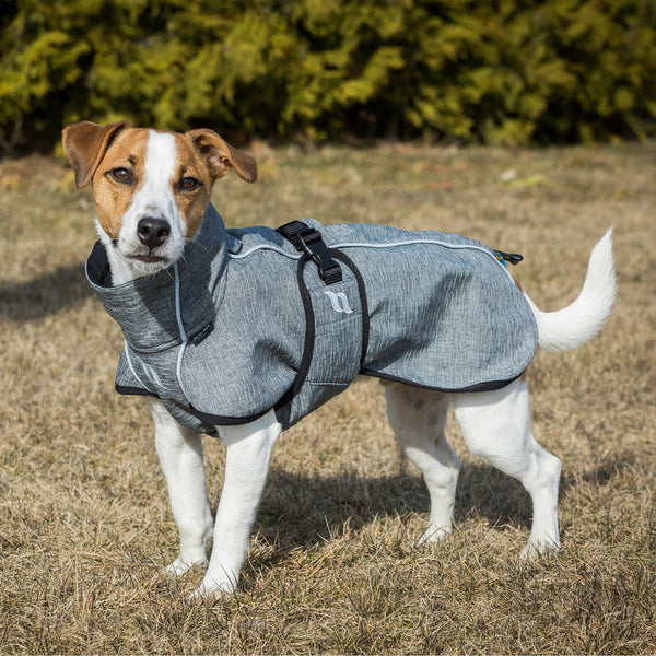 Cappotto per cani “Eddie” Alta visibilità Back on Track