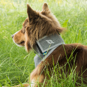 Bandana ad alta visibilità per cane Draco Back on Track