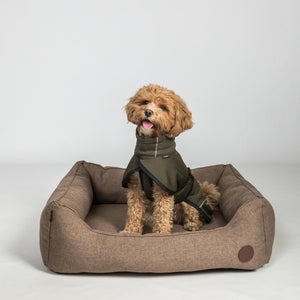Płaszcz dla psa Bay z siateczki – wysoki ogon Back on Track
