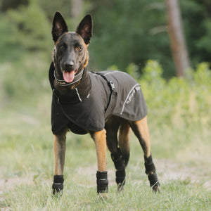Manteau Filet pour Chien Queue Basse BAY Back on Track