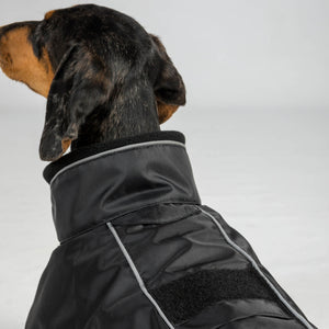 Kurtka termiczna dla psa rasy jamnik – BUDDY 2.0 Back on Track