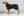 Manteau Polaire pour Chien Queue Haute – BAY Back on Track