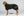 Manteau Polaire Chien Queue Basse BAY Back on Track