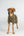 Manteau Polaire Chien Queue Basse BAY Back on Track