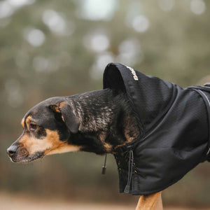 Waterproof coat for dog without padding Back on Track