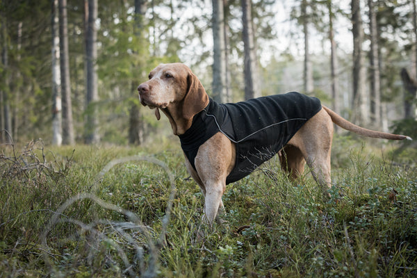 Cappotto per cani “Eddie” Alta visibilità Back on Track