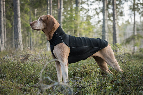 Cappotto per cani “Eddie” Alta visibilità Back on Track