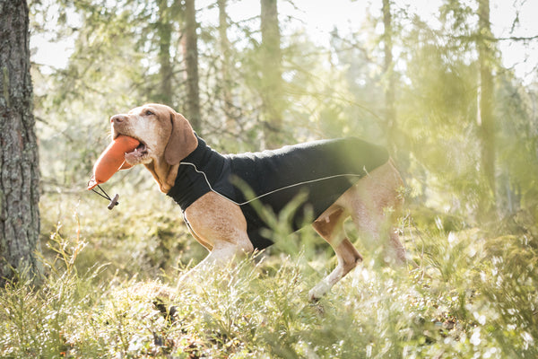 Cappotto per cani “Eddie” Alta visibilità Back on Track