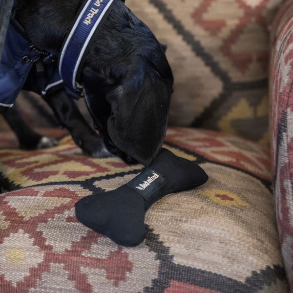 Dog toy back on track - flexible bone