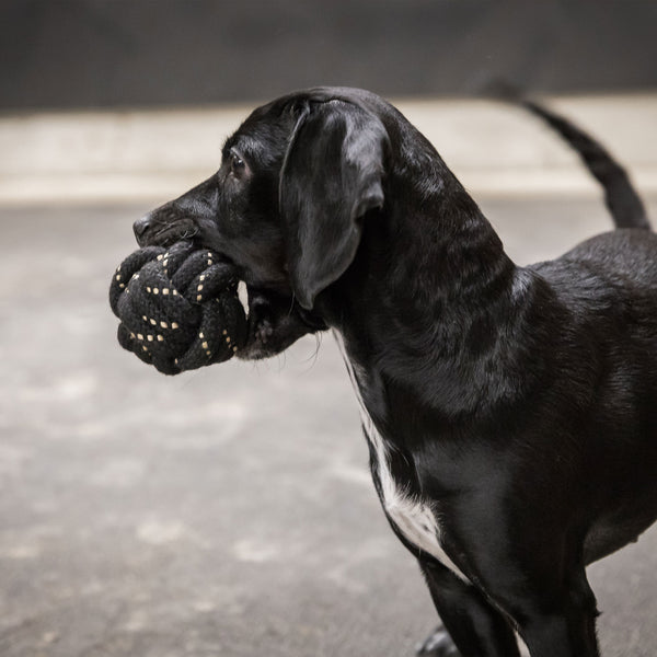 Balle en corde pour chien "Rope Ball" Back on Track