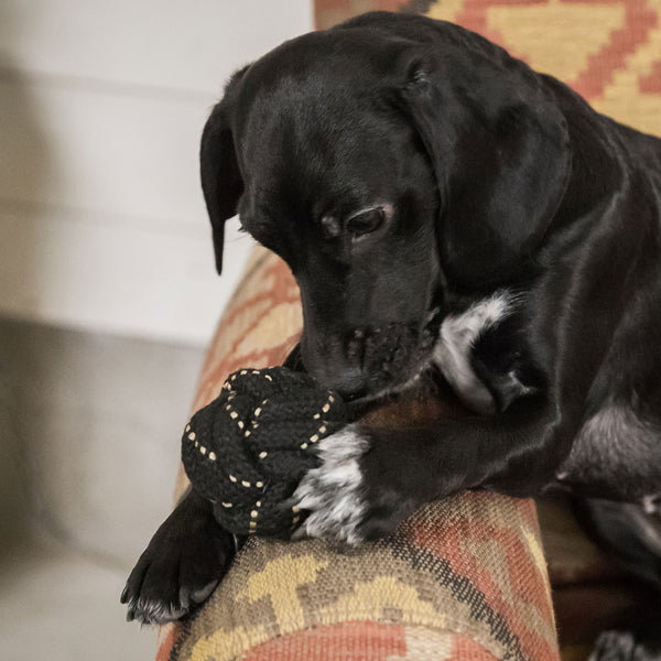 Balle en corde pour chien "Rope Ball" Back on Track