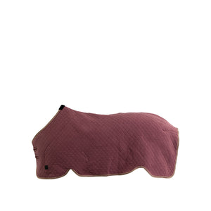 Chemise polaire BR Classic