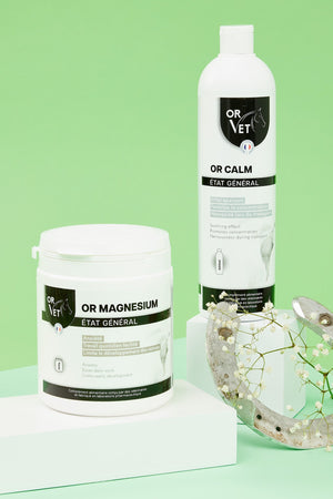 Or-Vet – OR-Magnesium en situation | Sellerie Bucéphale