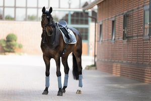 Bandes de polo Eskadron Basics en situation