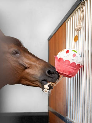 Le Mieux – Jouet pour chevaux cupcake    | Sellerie Bucéphale