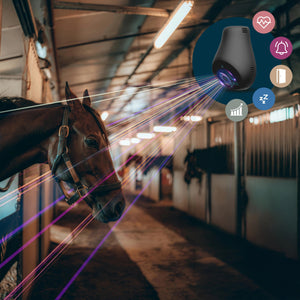 Zestaw startowy Birth Alarm Lite 2.0 + Coho