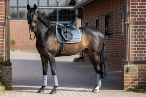 Bandes de polo Eskadron Basics en situation