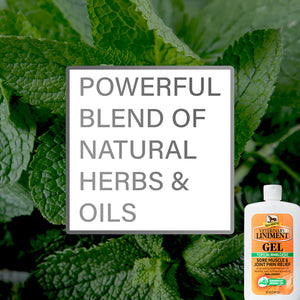 Gel Absorbine Veterinary Liniment pour muscles et articulations