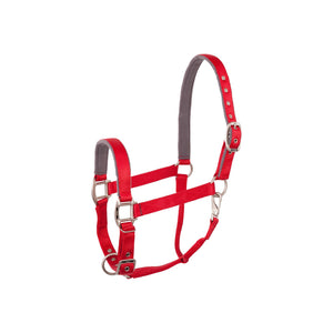 Licol BR Event en nylon doublé polaire