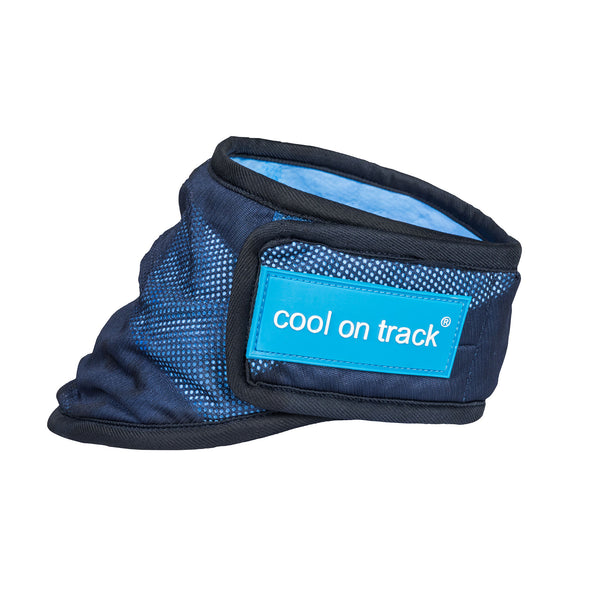 Bandana rafraîchissant pour chien "Cool on Track" Back on Track