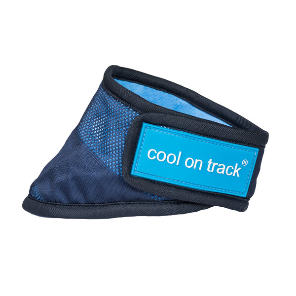 Bandana rafraîchissant pour chien "Cool on Track" Back on Track