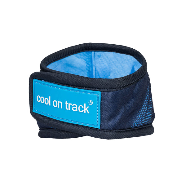 Bandana rafraîchissant pour chien "Cool on Track" Back on Track