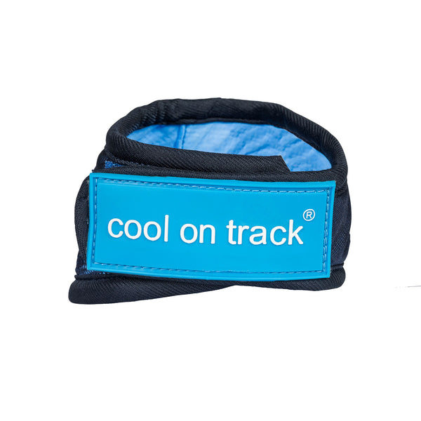 Bandana rafraîchissant pour chien "Cool on Track" Back on Track