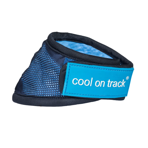 Bandana rafraîchissant pour chien "Cool on Track" Back on Track