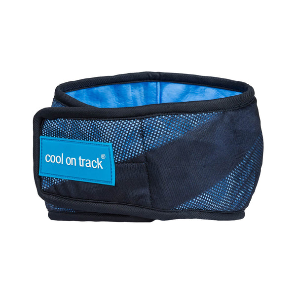 Bandana rafraîchissant pour chien "Cool on Track" Back on Track