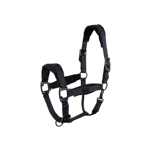 Licol BR Loran doublé velours noir