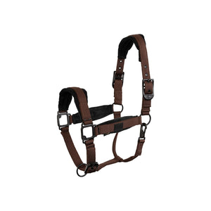 Licol BR Loran doublé velours noir