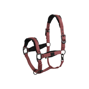 Licol BR Loran doublé velours noir