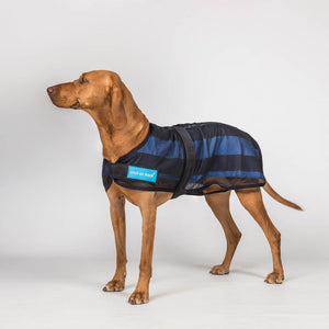 Cooling coat for dog Cool on Track 2.0