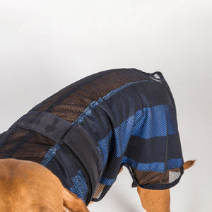 Cooling coat for dog Cool on Track 2.0