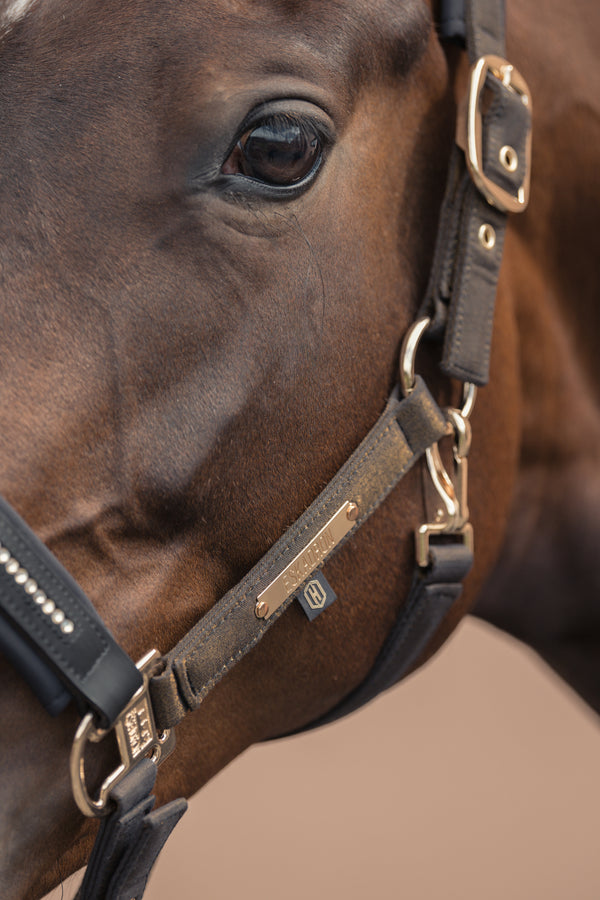 Gros plan sur la tête d'un cheval, montrant principalement un œil et une partie de son licol en cuir. Le licol est orné de détails métalliques dorés et porte une plaque gravée avec le nom de la marque "Eskadron".