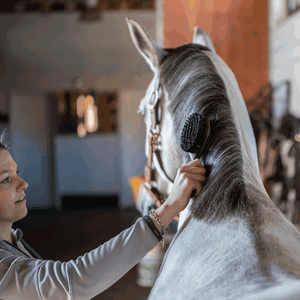 Double-Sided Mane Brush Sprenger