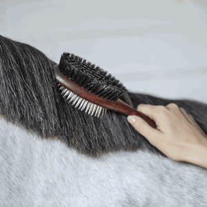 Double-Sided Mane Brush Sprenger