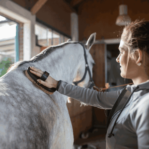 Sprenger – Brosse de Qualité Supérieure Sprenger    | Sellerie Bucéphale