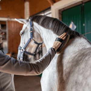 Sprenger – Brosse de Qualité Supérieure Sprenger    | Sellerie Bucéphale