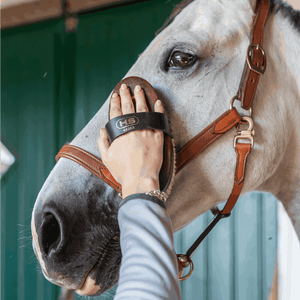 Sprenger – Brosse de Qualité Supérieure Sprenger    | Sellerie Bucéphale