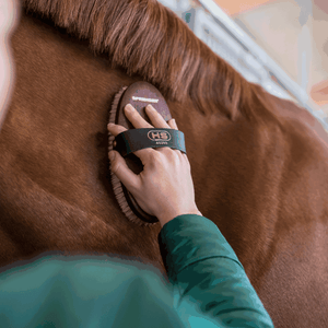 Sprenger – Brosse de Qualité Supérieure Sprenger    | Sellerie Bucéphale