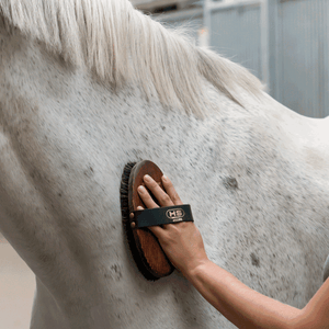Brosse Sprenger mélange de crins pansage cheval | Sellerie Bucéphale