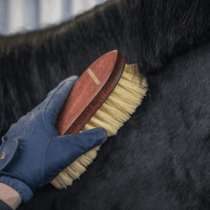 Dandy Brush Perlon Sprenger