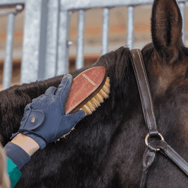 Brosse Dandy Perlon Sprenger