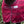 Chemise anti-mouches Stripe, bordeaux