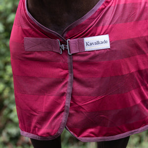 Chemise anti-mouches Stripe, bordeaux