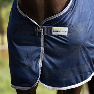 Chemise anti-mouches Stripe, bleu marine/gris