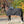 Couverture d'extérieur Winnipeg 50 g, noir/gris